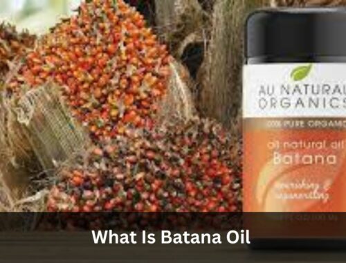 What Is Batana Oil