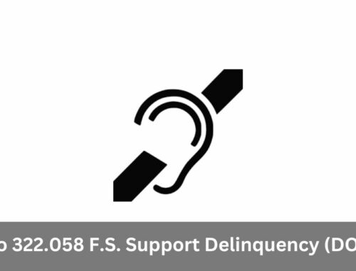Vio 322.058 F.S. Support Delinquency