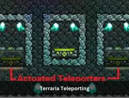 Terraria Teleporting